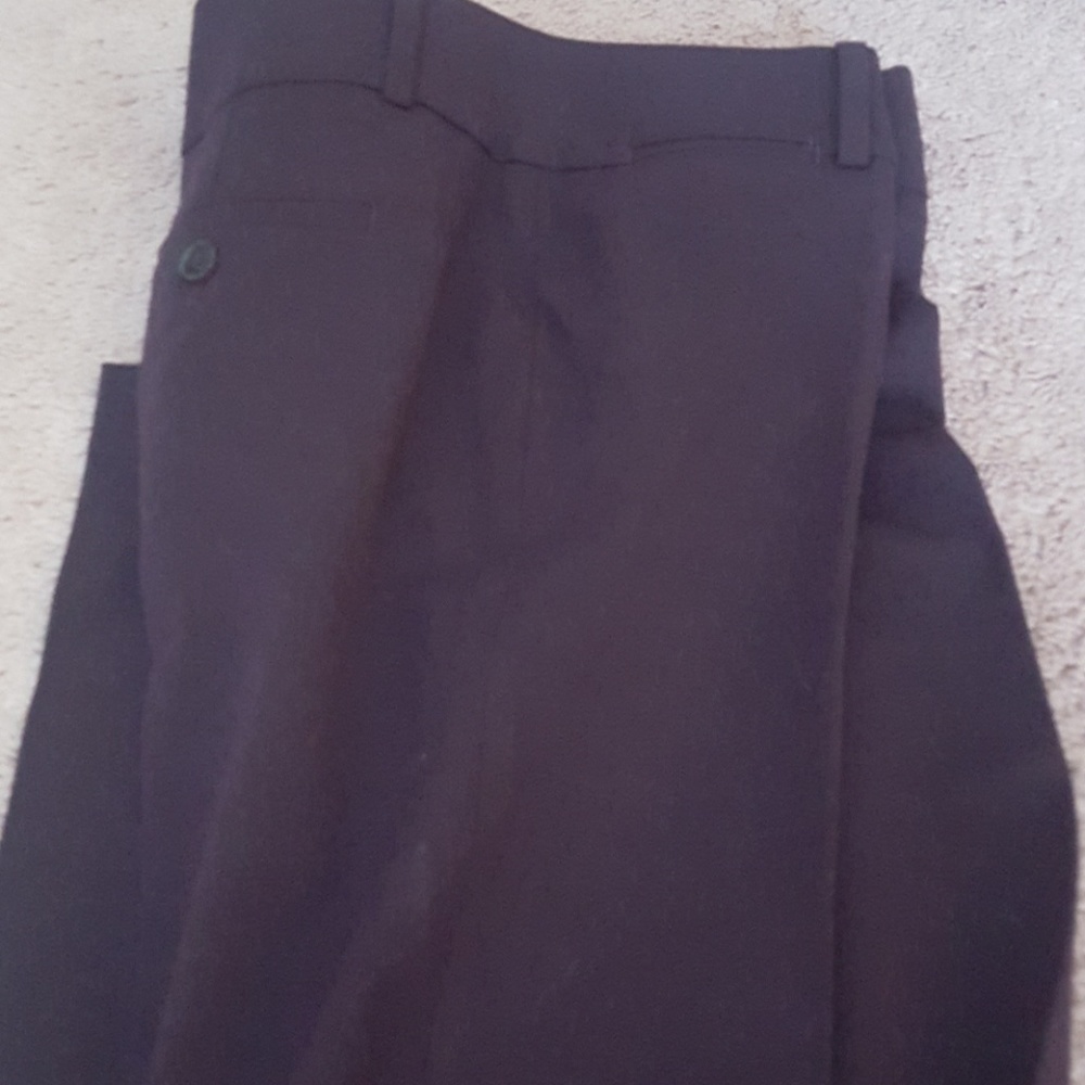 Loft pants